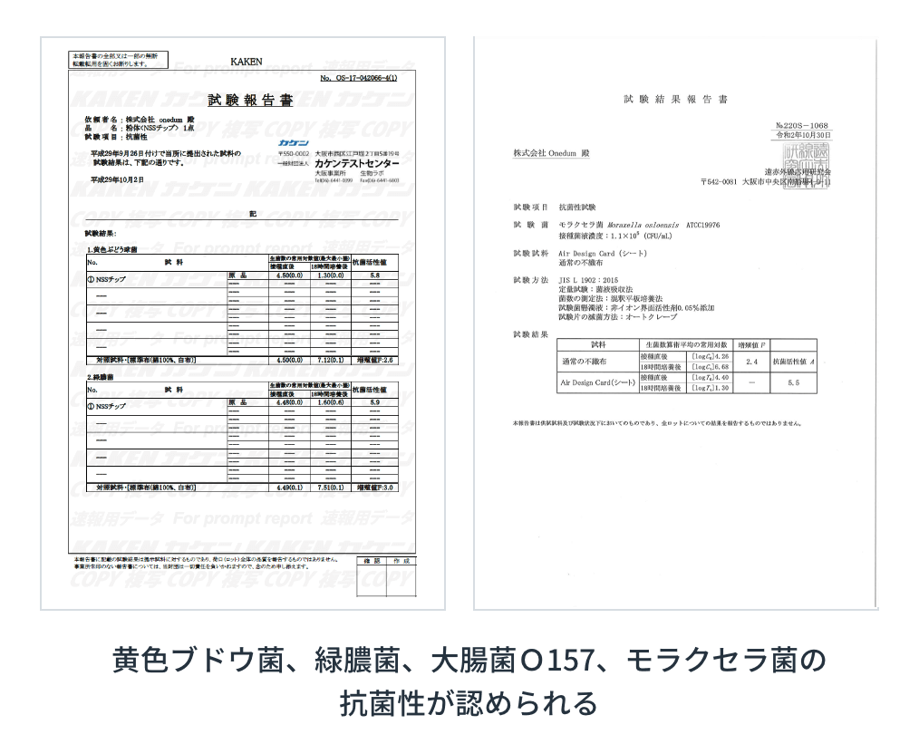 抗菌性試験